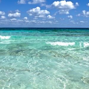 Meet your Posher, Isa